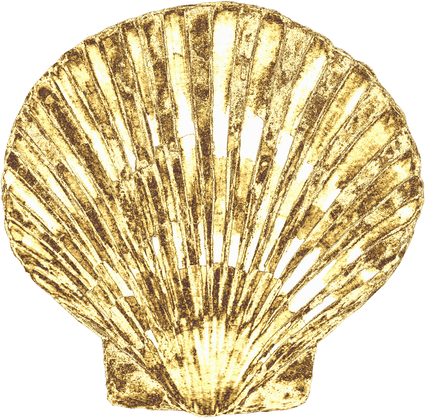Golden luxury seashell